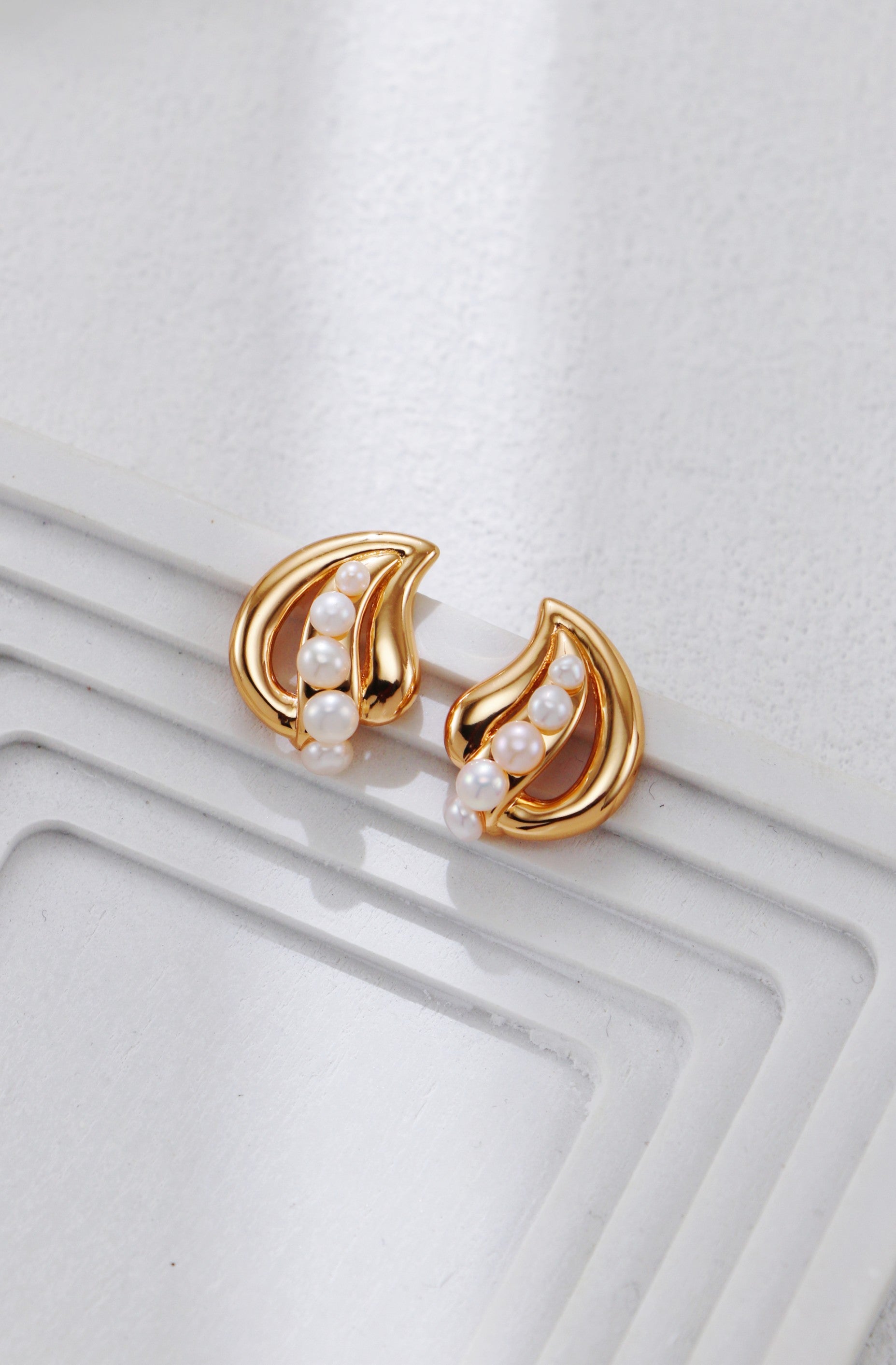 S925 Silver Ginkgo Leaf Earrings